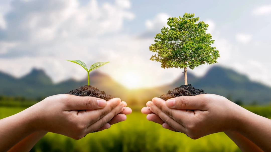 Home - Sustainable.webp